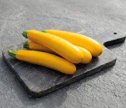 Dehner Gemüsesamen - Premium Samen Zucchini 'Gold Rush F1'