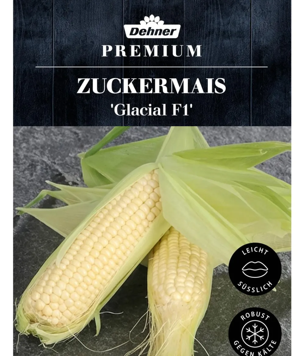 Dehner Premium Samen Zuckermais 'Glacial F1' Outlet