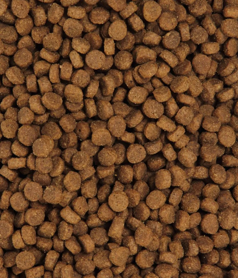 Dehner Premium Trockenfutter für Katzen Adult