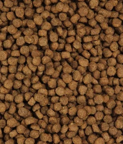 Dehner Premium Trockenfutter für Katzen Light Senior, Geflügel Online