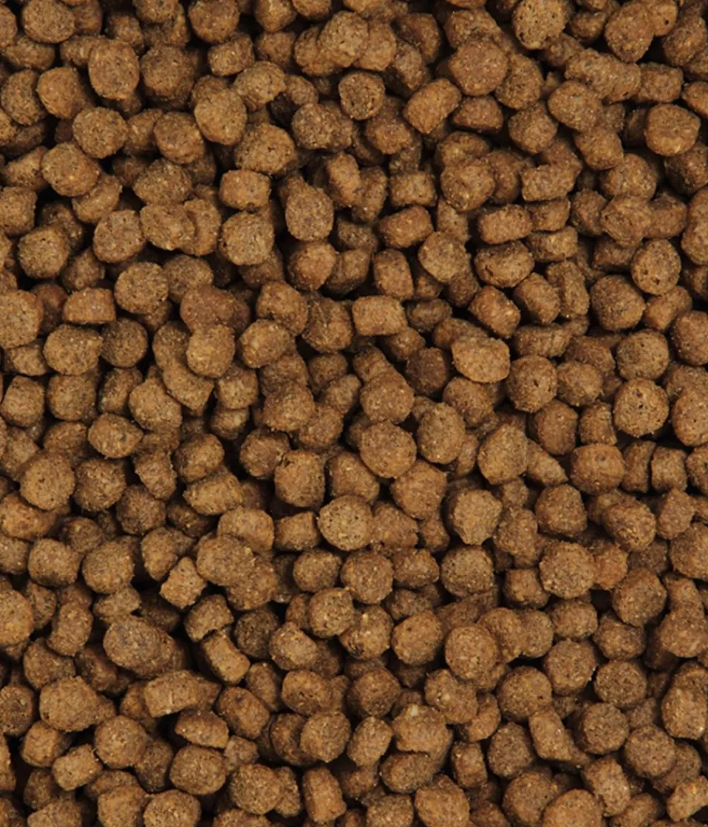 Dehner Premium Trockenfutter für Katzen Light Senior, Geflügel Online