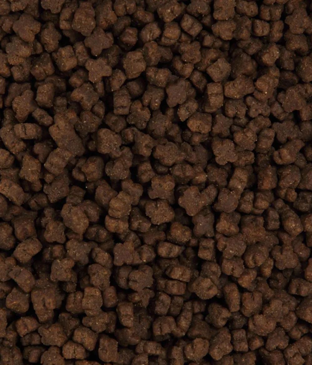 Dehner Premium Trockenfutter für Katzen Kitten, Huhn Hot