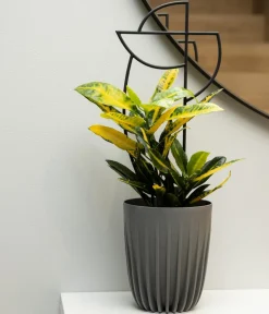 Dehner Mehr Blumentopfzubehör - Rankhilfe-Set Geometrisch, 2-teilig Schwarz