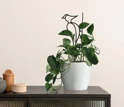 Dehner Mehr Blumentopfzubehör > Rankhilfe-Set Vogel, 2-teilig