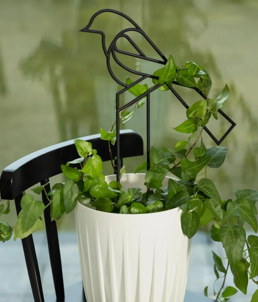 Dehner Mehr Blumentopfzubehör > Rankhilfe-Set Vogel, 2-teilig