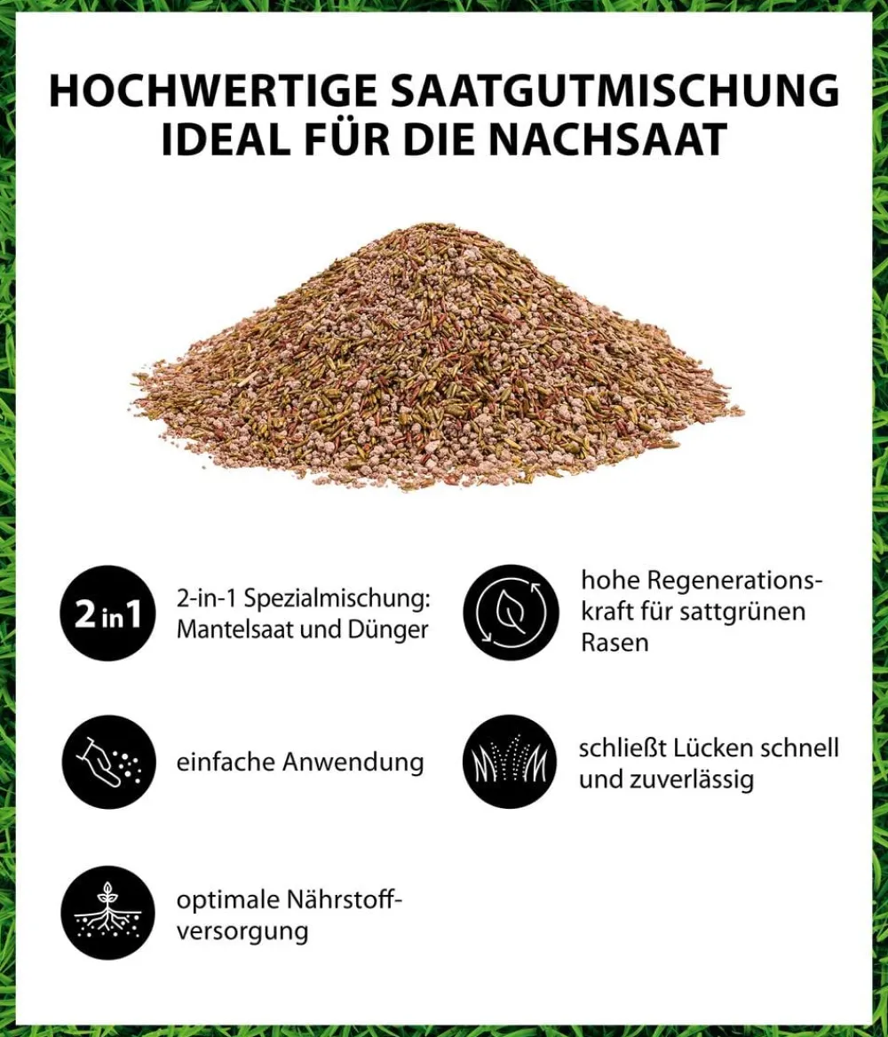 Dehner Rasensamen - Rasen-Regeneration