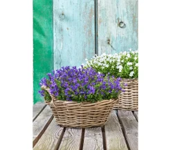 Dehner Rattan Pflanzschale mit Henkel, grau/ Braun Sale