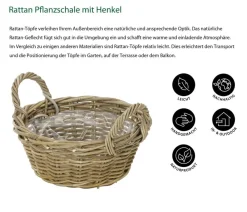 Dehner Rattan Pflanzschale mit Henkel, grau/ Braun Sale