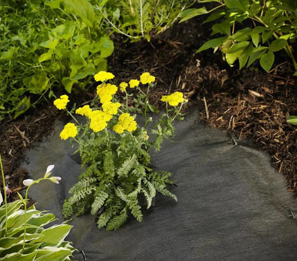 Dehner Pflanzenfolien & Ernteschutz > Rindenmulch-Unterlage, ca. L300/B200 cm