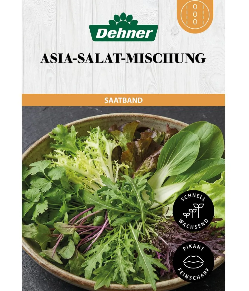 Dehner Gemüsesamen - Saatband Asia-Salat-Mischung, L5 m
