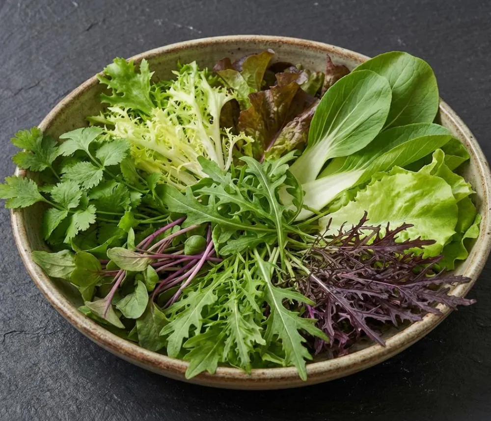 Dehner Gemüsesamen - Saatband Asia-Salat-Mischung, L5 m