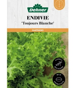 Dehner Gemüsesamen > Saatband Endivie 'Toujours Blanche', L5 m