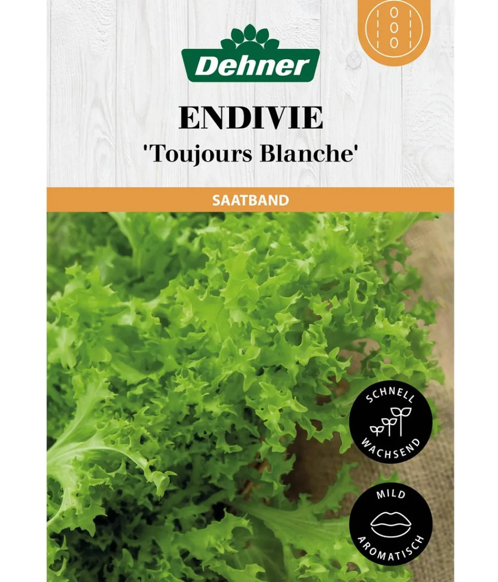 Dehner Gemüsesamen > Saatband Endivie 'Toujours Blanche', L5 m