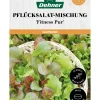 Dehner Saatband Pflücksalat-Mischung 'Fitness Pur', L5 m Best