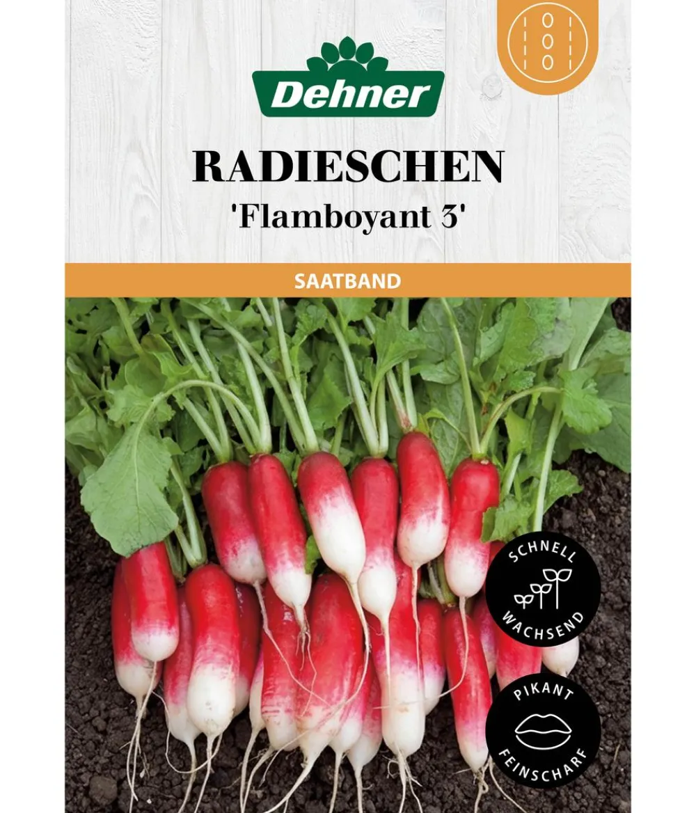 Dehner Saatband Radieschen 'Flamboyant 3', L5 m New