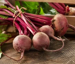 Dehner Gemüsesamen - Saatband Rote Bete 'Rote Kugel 2', L5 m