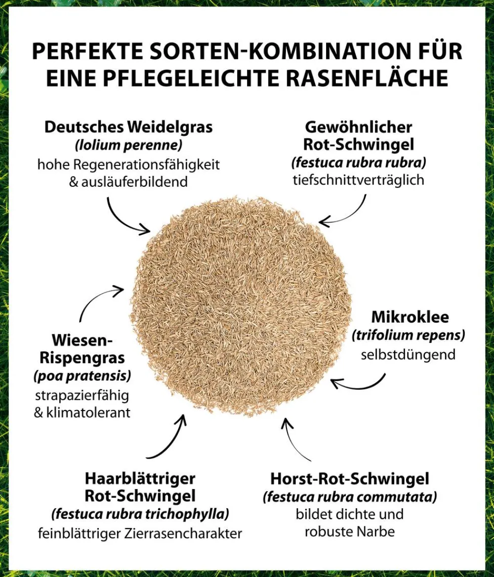 Dehner Saatgut Mikroklee-Rasen Clearance