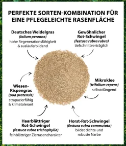 Dehner Rasensamen - Saatgut Mikroklee-Rasen