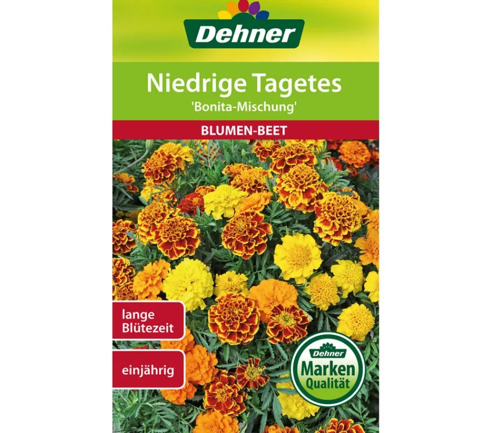 Dehner Saatgut Niedrige Tagetes 'Bonita Mischung' Bunt Online