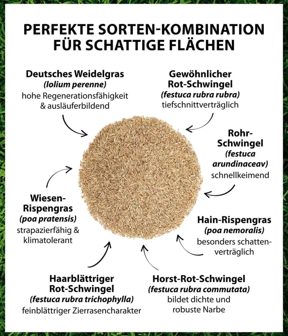 Dehner Rasensamen - Saatgut Schattenrasen
