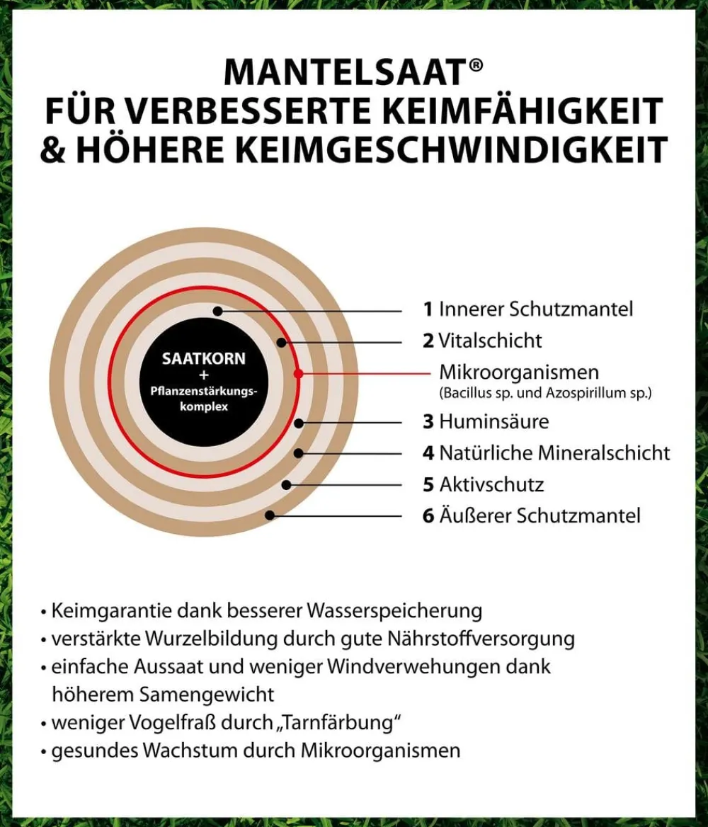 Dehner Rasensamen - Saatgut Schattenrasen
