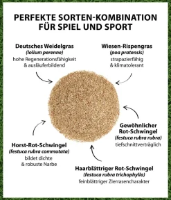 Dehner Rasensamen > Saatgut Spiel- und Sportrasen