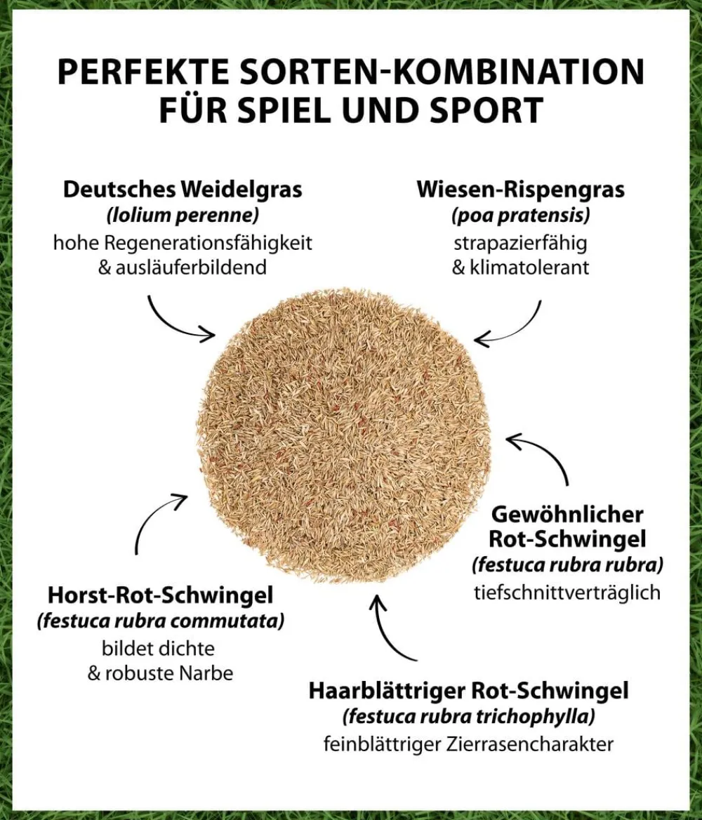 Dehner Rasensamen - Saatgut Spiel- und Sportrasen