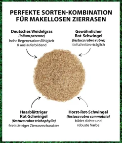Dehner Rasensamen - Saatgut Traumrasen