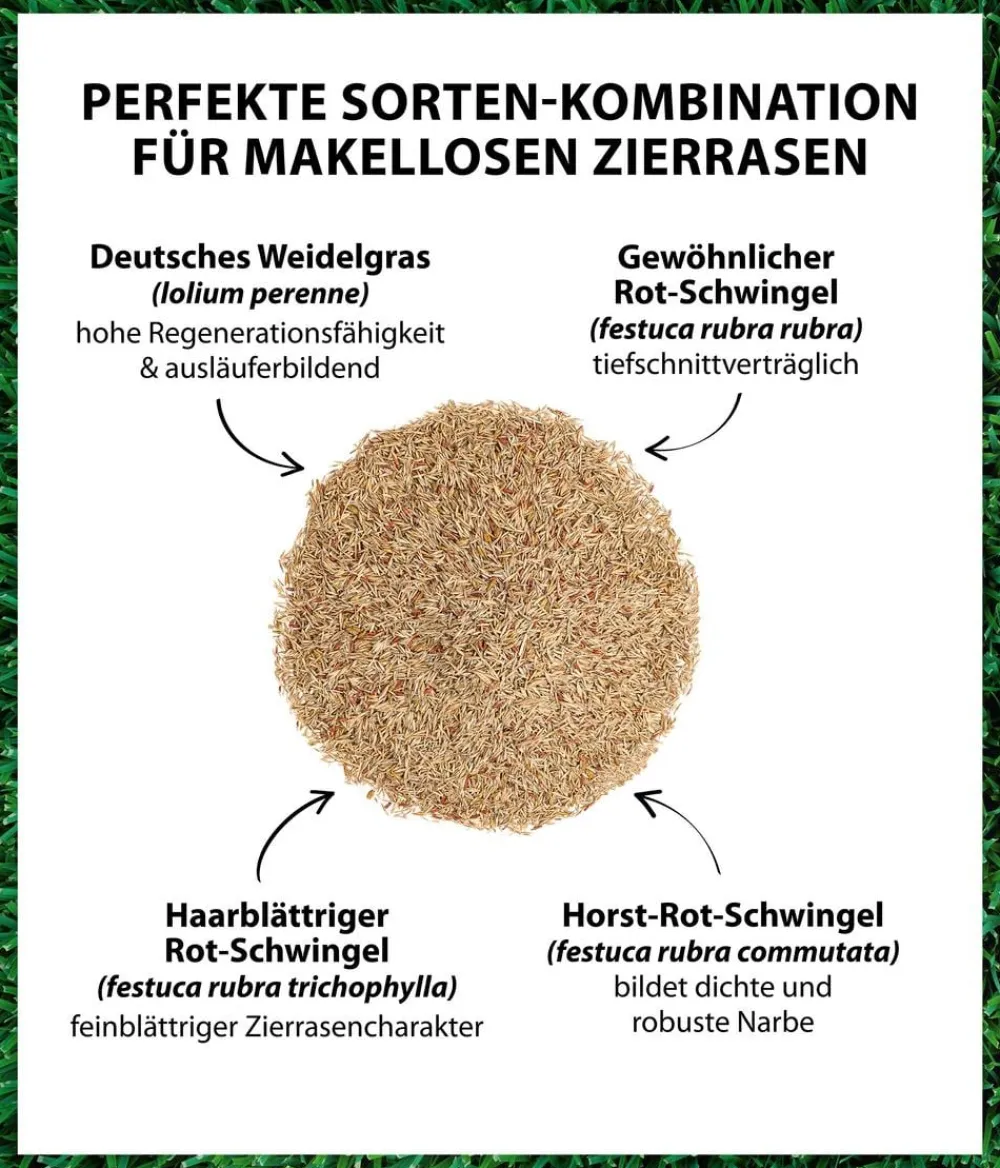 Dehner Rasensamen - Saatgut Traumrasen