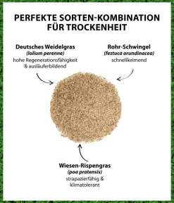 Dehner Saatgut Trockenrasen Discount
