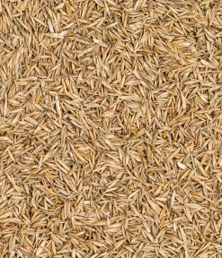 Dehner Rasensamen > Saatgut Universalrasen, 500 g