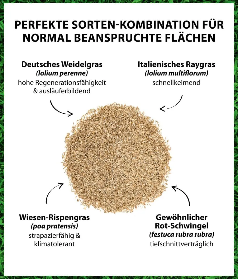 Dehner Rasensamen > Saatgut Universalrasen, 500 g
