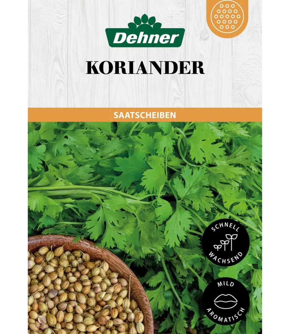Dehner Kräutersamen > Saatscheiben Koriander, 3 Stück à Ø 8 cm