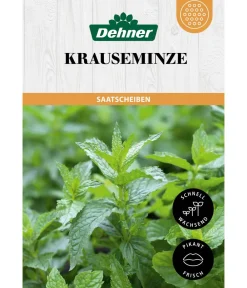 Dehner Saatscheiben Krauseminze, 3 Stück à Ø 8 cm Hot