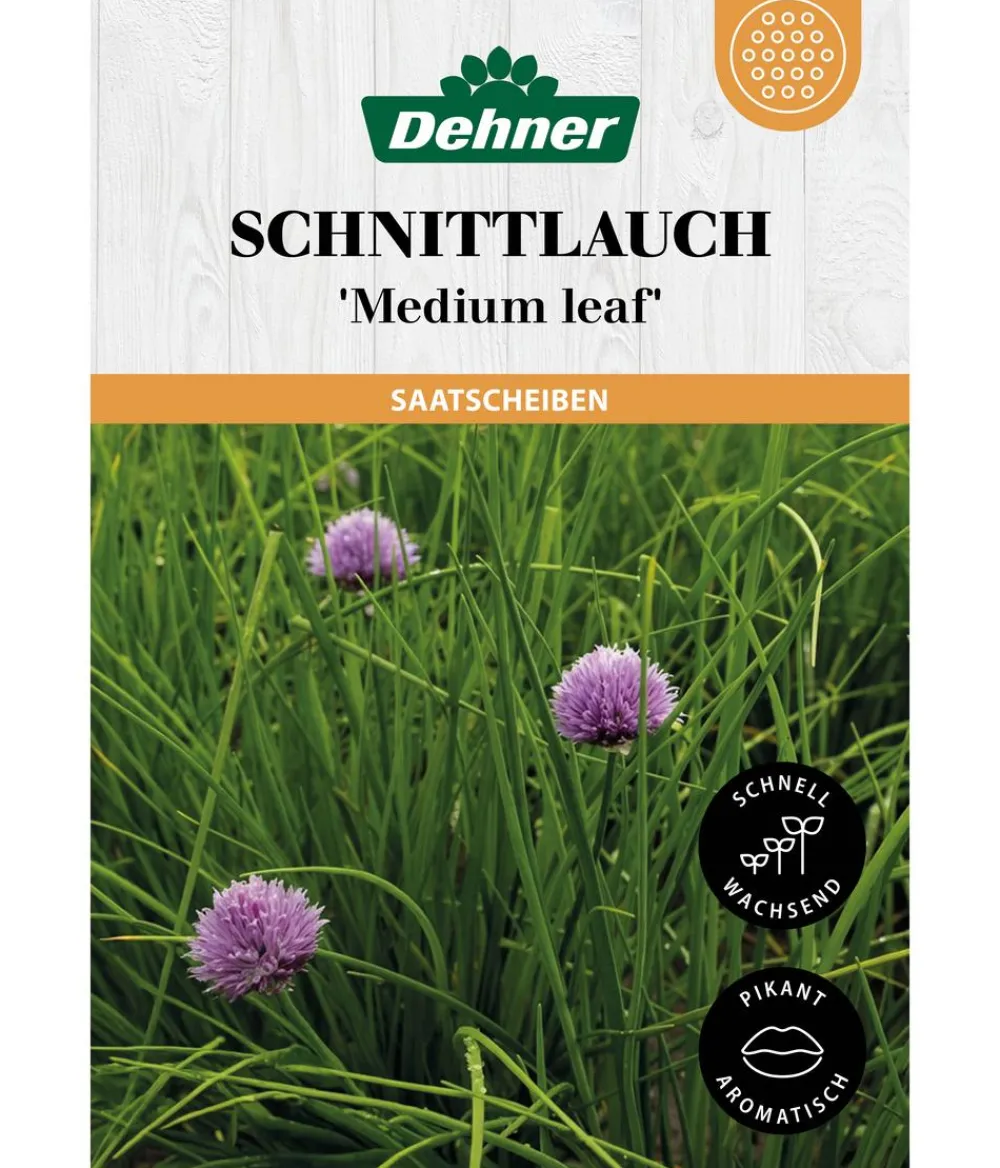 Dehner Kräutersamen - Saatscheiben Schnittlauch 'Medium leaf', 3 Stück à Ø 8 cm