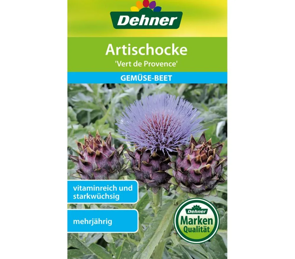 Dehner Samen Artischocke 'Vert de Provence' Outlet