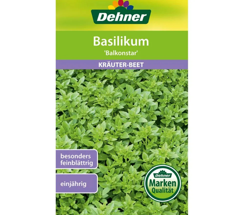 Dehner Samen Basilikum 'Balkonstar'