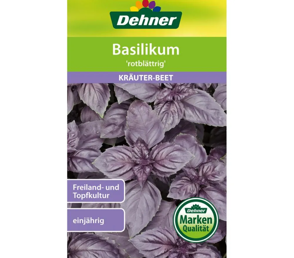 Dehner Samen Basilikum 'rotblättrig' Sale