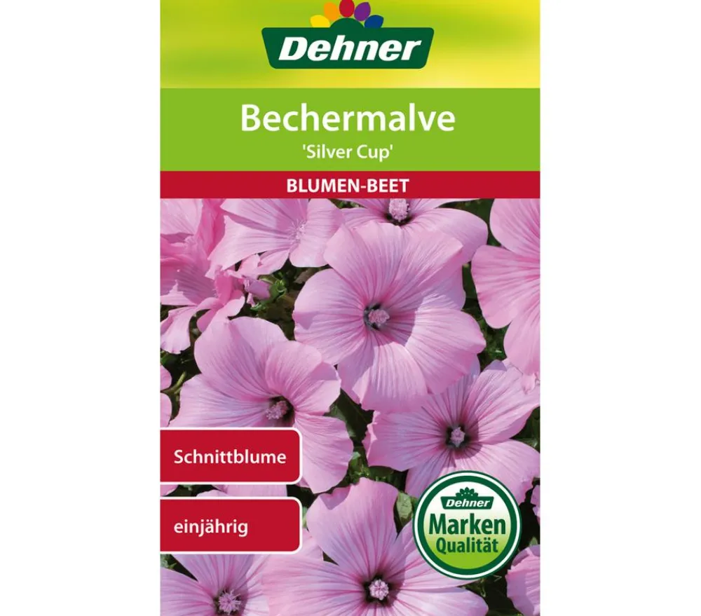 Dehner Samen Bechermalve 'Silver Cup' Rosa Discount
