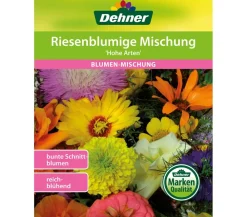 Dehner Blumensamen - Samen Blumenmischung 'Balkonmischung Hängende Gärten' Bunt