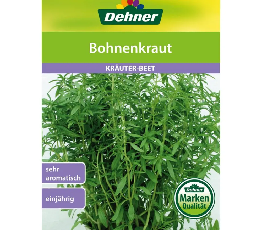 Dehner Kräutersamen > Samen Bohnenkraut