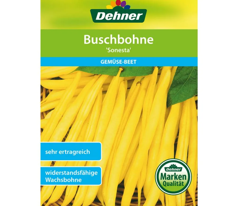 Dehner Samen Buschbohne 'Sonesta' Gelb Online