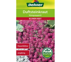 Dehner Samen Duftsteinkraut 'Königsteppich' Pink New