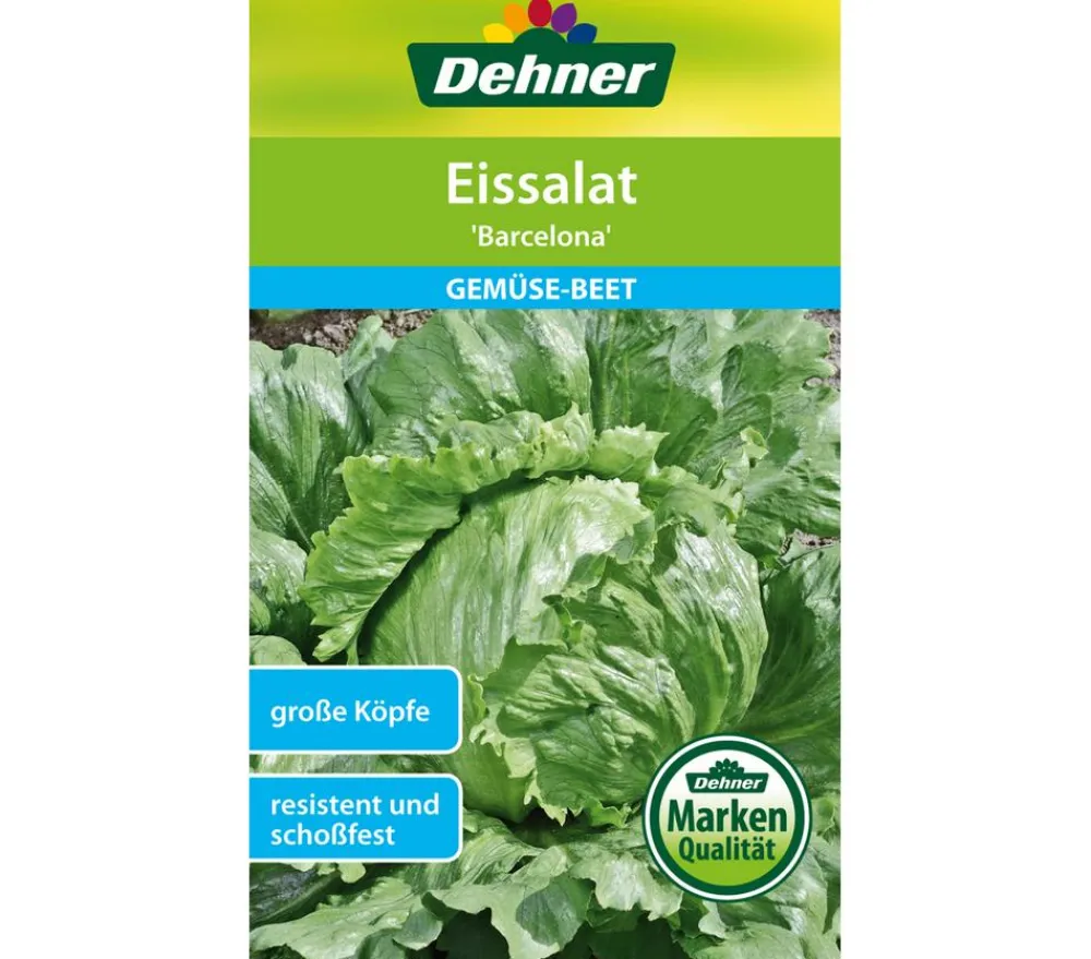 Dehner Gemüsesamen > Samen Eissalat 'Barcelona'