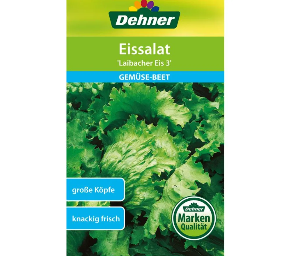 Dehner Samen Eissalat 'Laibacher Eis 3' Hot