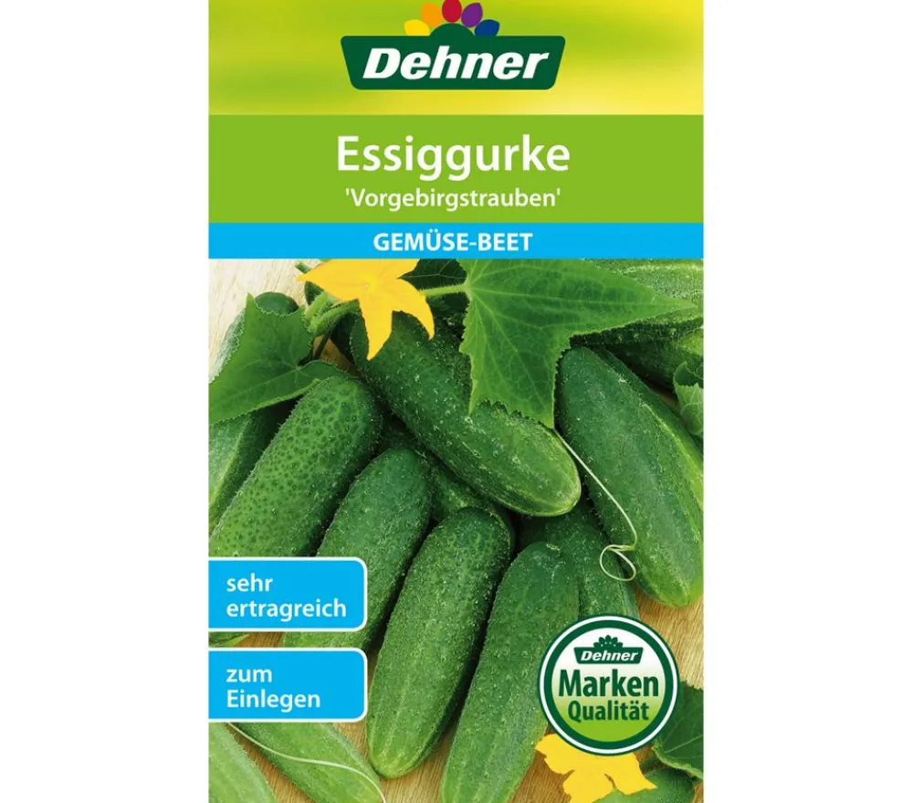 Dehner Gemüsesamen > Samen Essiggurke 'Vorgebirgstrauben'