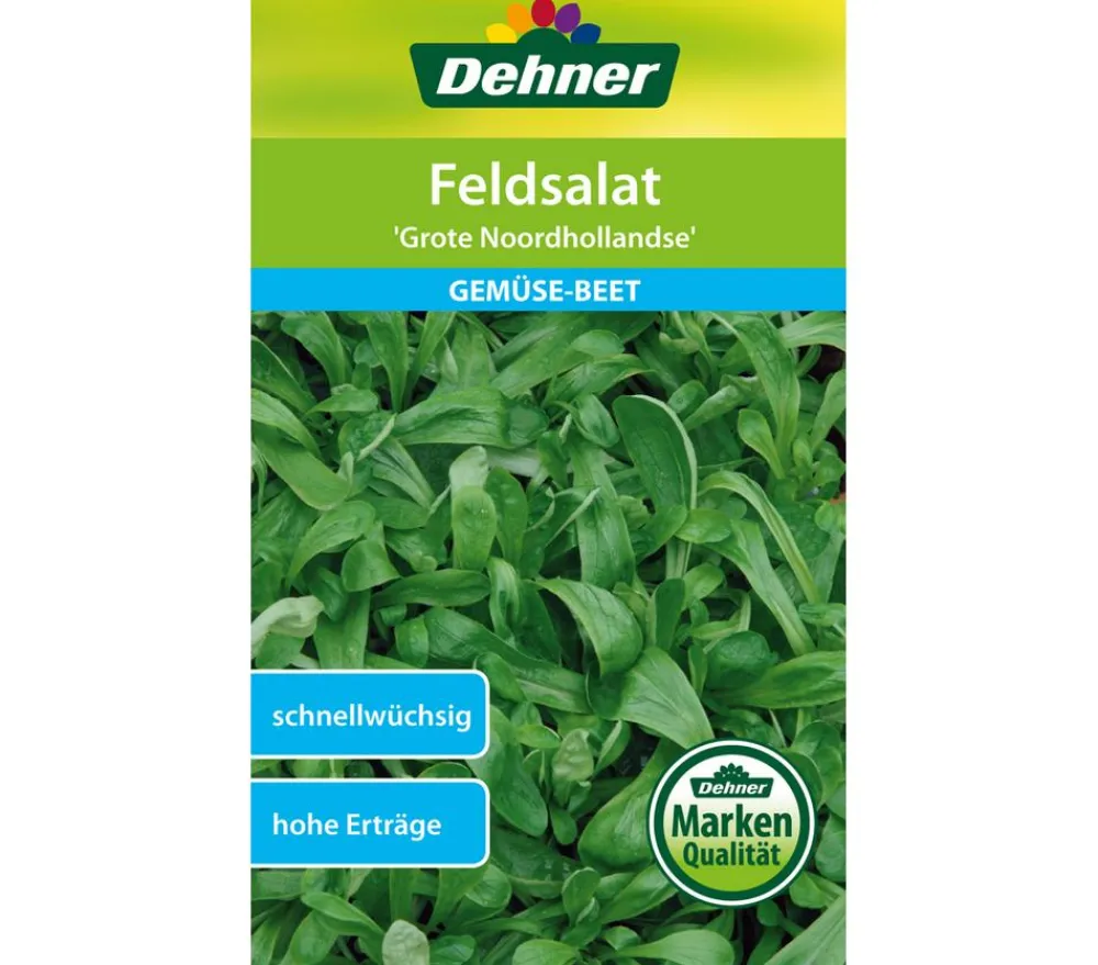 Dehner Samen Feldsalat 'Grote Noordhollandse' New