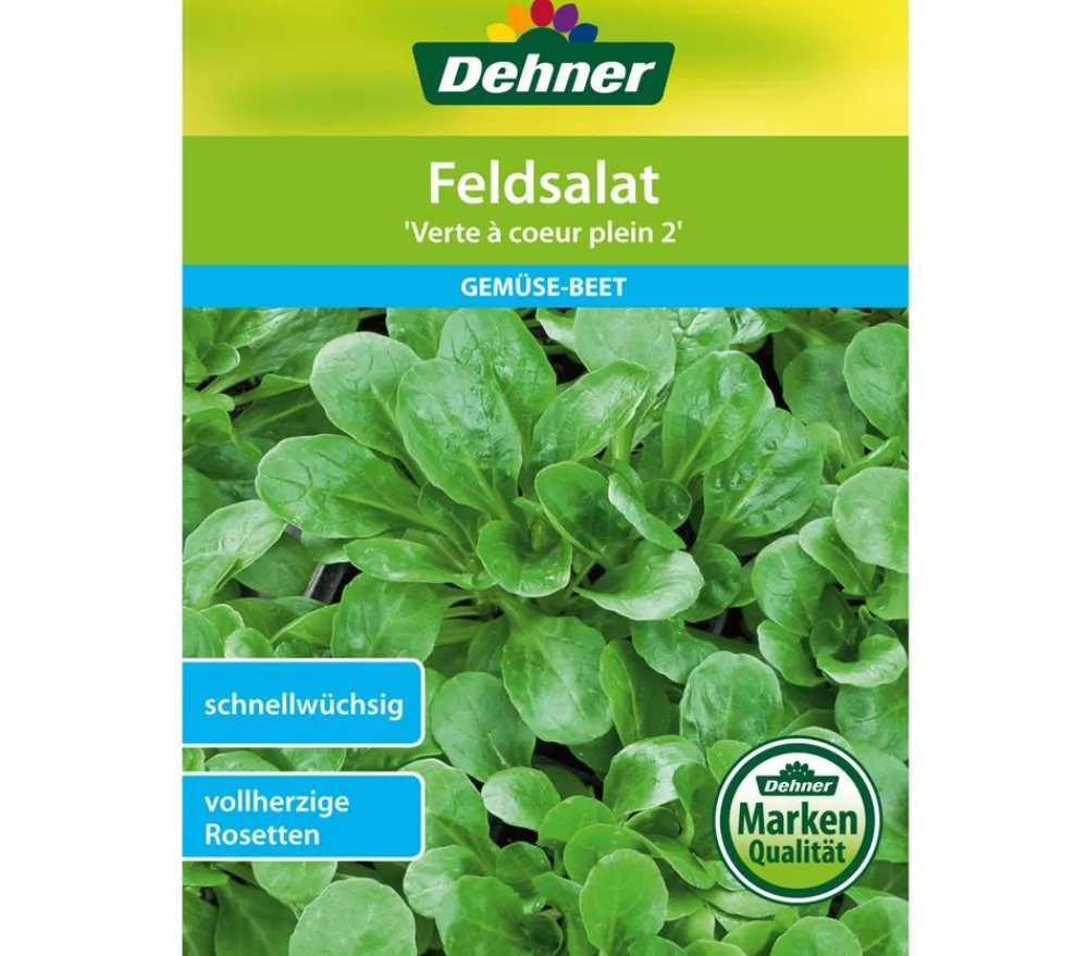 Dehner Gemüsesamen > Samen Feldsalat 'Verte a coeur plein 2'