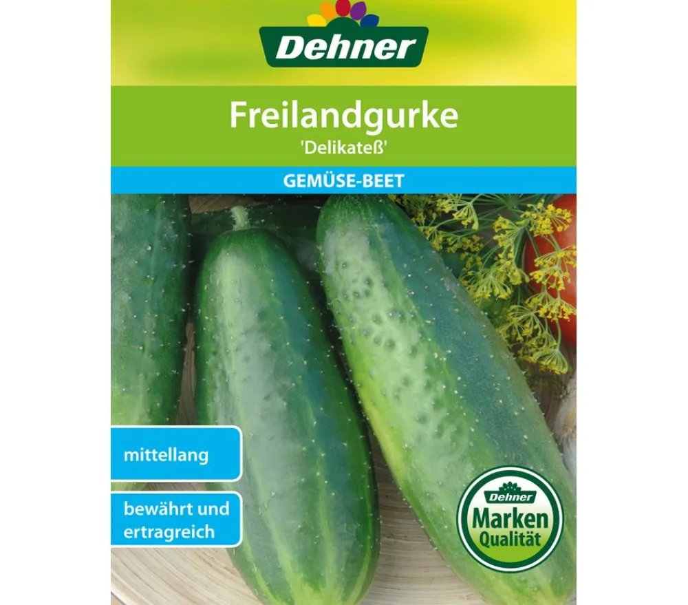 Dehner Gemüsesamen - Samen Freilandgurke 'Delikateß'
