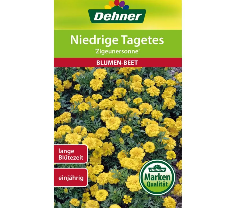 Blumensamen > Dehner Samen für Niedrige Tagetes 'Zigeunersonne'
